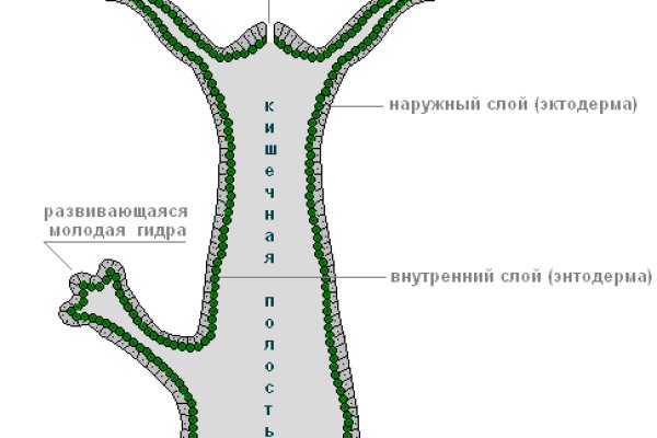 Актуальная ссылка на кракен kraken014 com